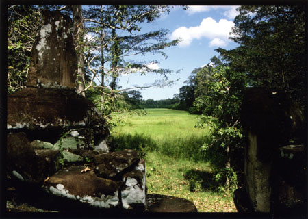 054 Paysage dans la région d'Angkor