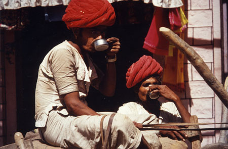 006 rajputs buvant du chaï